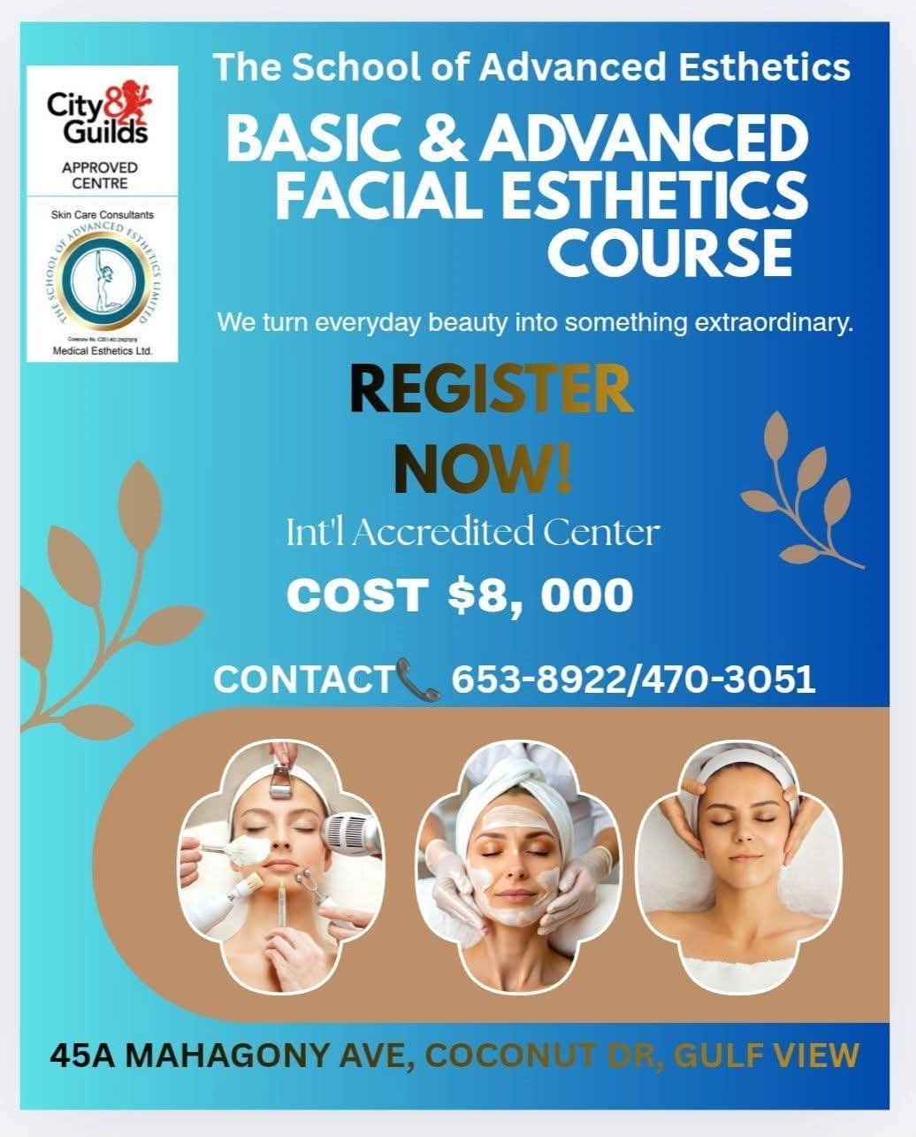 Basic and Advanced Facial Esthetics Course